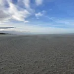 In Belgium Near Zeedijk *