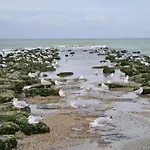 In Belgium Near Zeedijk