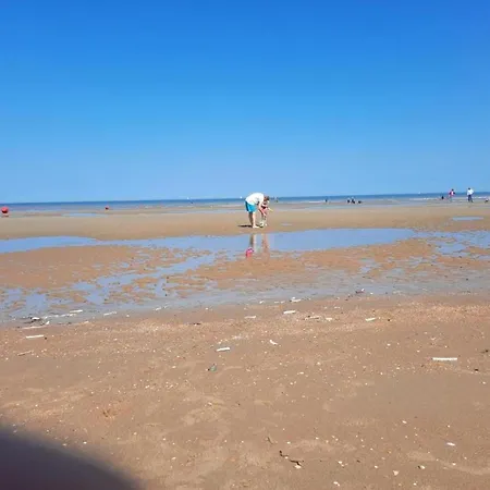 In Belgium Near Zeedijk Διαμέρισμα