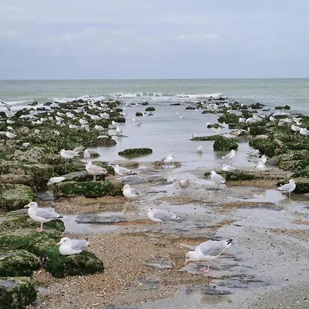 In Belgium Near Zeedijk