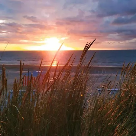 In Belgium Near Zeedijk * Koksijde