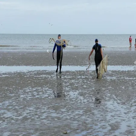 Διαμέρισμα In Belgium Near Zeedijk
